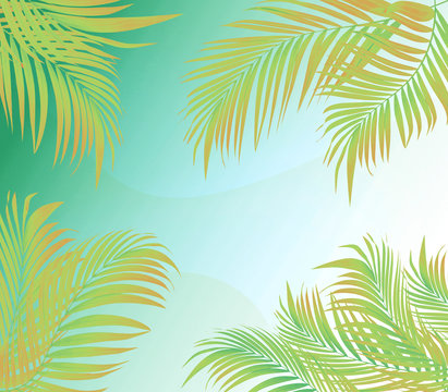 Gradient color palm leaf frame for illustration abstract background