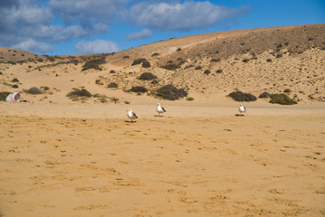 Mujeres beach, Lanzarote, Spain