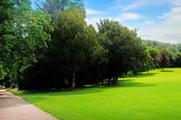 Fototapeta premium Letni park, zielona łąka i błękitne niebo.