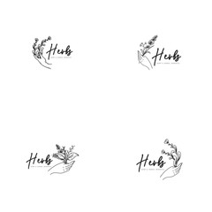 Vintage herbs logo in black and white