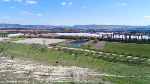 Aerial for a small pond surrounded by bushes and hills in the mountainous countryside. Shot. Beautiful landscape with green meadows, small rare trees on blue cloudy sky background.