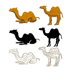 Camel Illustration Animal Vector Design
