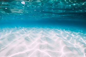 Tropical blue ocean with white sand underwater in Hawaii