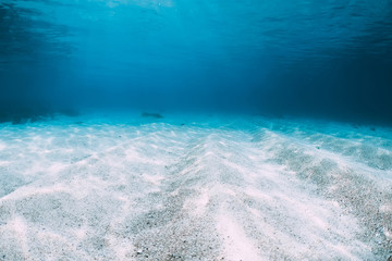 Tropical blue ocean with white sand underwater in Hawaii