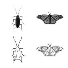 Vector design of insect and fly logo. Collection of insect and element stock symbol for web.