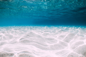 Fototapeta na wymiar Tropical blue ocean with white sand underwater in Hawaii