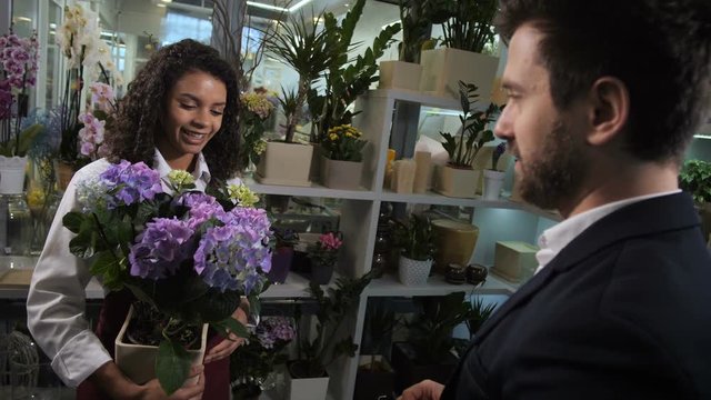 Positive mixed race saleswoman of flower shop advising client gorgeous hydrangea pottet plant with soft purple petals from blooming plants for sale in floristical salon