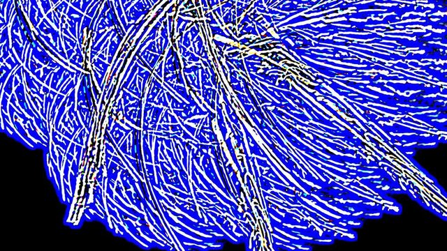 Abstract fractal forms morph and oscillate (Loop)
