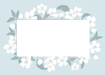 Cherry blossom card template with text. Floral frame on pastel blue background. White flowers. Vector illustration
