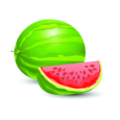 Watermelon vector design illustration isolated on white background