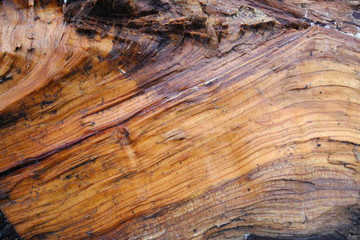 wood texture