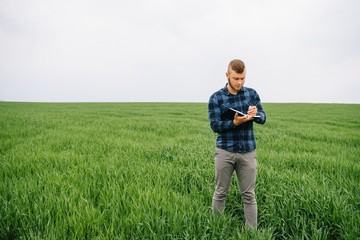 Naklejka na ściany i meble Young agronomist holds notebook in green wheat field. Agribusiness concept. agricultural engineer standing in a wheat field with a tablet in summer