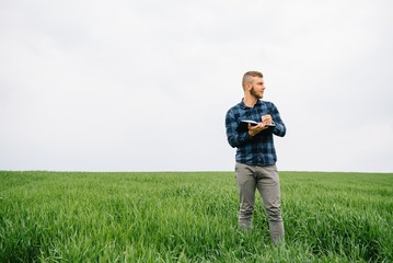 Young agronomist holds notebook in green wheat field. Agribusiness concept. agricultural engineer standing in a wheat field with a tablet in summer