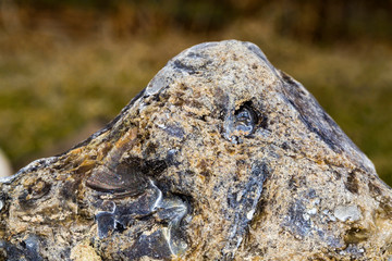 texture stone