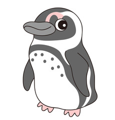 ケープペンギン イラスト