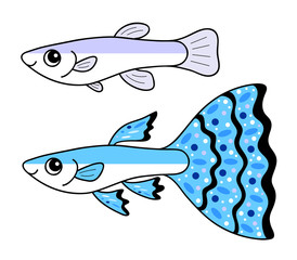 グッピー オスとメス イラスト