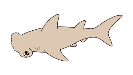シュモクザメ イラスト