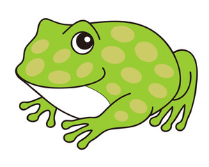 ツノガエル  イラスト