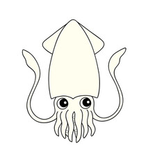 いか  イラスト