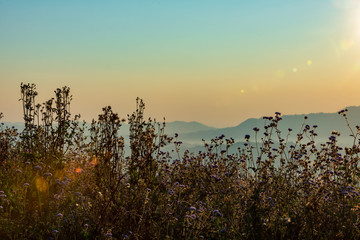 sunrise in mountains