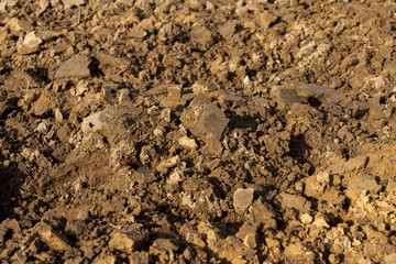 Plowed field