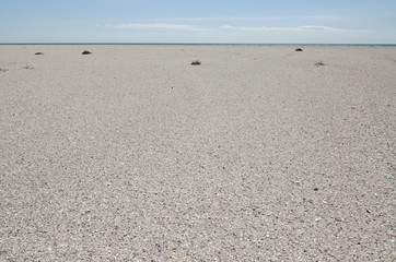  desert shore