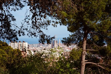 View on Barcelona and Sagrada Familia basilica from Park Guell