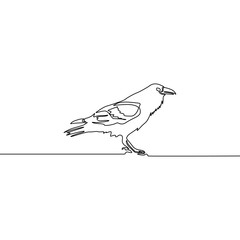 Continuous line Raven isolated on white background. Vector illustration.