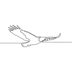 Continuous line drawing Flying eagle, freedom concept. Vector illustration.