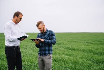 Naklejka na ściany i meble Two farmer standing in a wheat field and looking at tablet, they are examining corp. Young handsome agronomist. Agribusiness concept. agricultural engineer standing in a wheat field