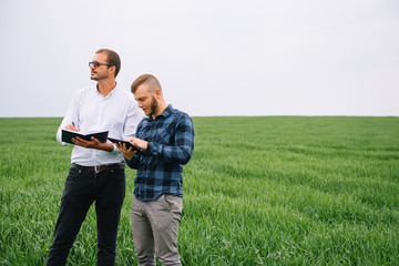 Two farmer standing in a wheat field and looking at tablet, they are examining corp. Young handsome agronomist. Agribusiness concept. agricultural engineer standing in a wheat field