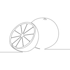 Continuous line Orange, citrus tropical fruit . Vector illustration.