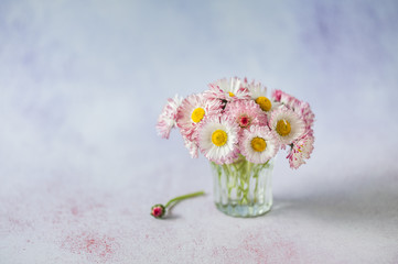 Bouquet of daisies in a glass. Postcard concept. Minimalism, selective focus, place for text.