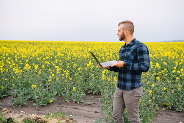 Young agronomist holds laptop in rape field. Agribusiness concept. agricultural engineer standing in a rape field with a laptop in summer