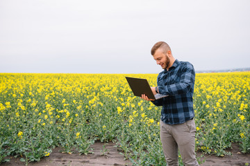 Naklejka na ściany i meble Young agronomist holds laptop in rape field. Agribusiness concept. agricultural engineer standing in a rape field with a laptop in summer
