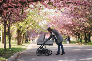 Happy mom walk with her little baby girl in stroller. Background of pink sakura tree © Aleksandr