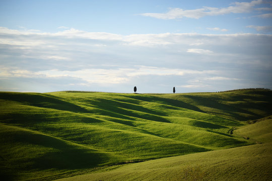 Rolling hills in the evening sun, Tuscany