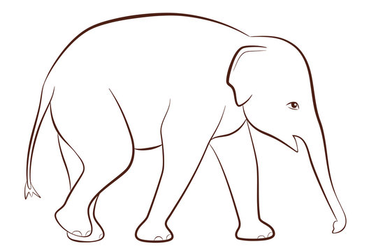 Baby Elephant Outline Template