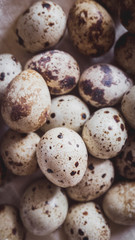 Obraz premium Quail eggs on the linen cloth. Top view