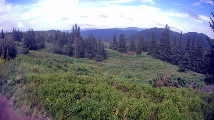 trail in high mountain meadow