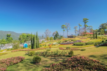 view of flowers garden in Khun Wang Royal Project, attraction in Doi Inthanon, Chiang Mai, northern of Thailand.