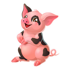 Lovely pink and black pig on white