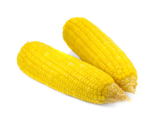 corn isolated on white background