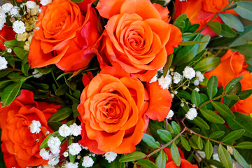 orangene Rosen Blüten und Blumen im Strauss