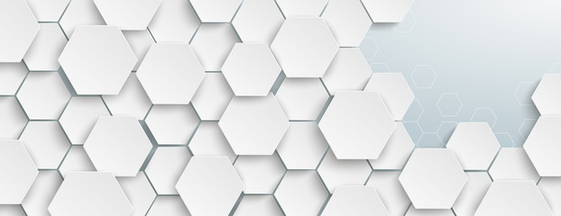 White Hexagon Structure Left Grey Edge Header