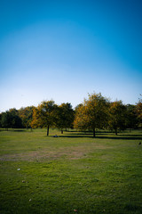 Parklife