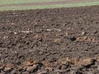 plowed field in spring