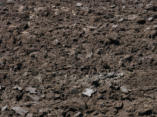 texture of soil