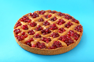 Tasty cranberry pie on color background