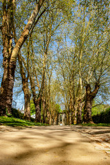 Rochefort-en-terre. Allée du château. Morbihan. Bretagne
